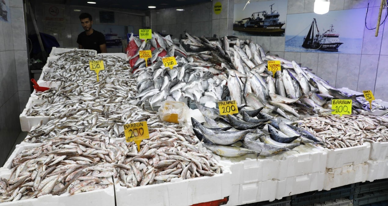 hamsi istavrit barbun ve mezgit bollugu basladi tezgahlarda fiyatlar 100 liradan basliyor lR3ywBmR