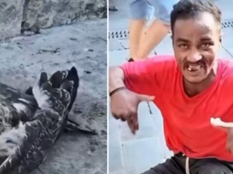 Uskudardan gelen goruntuler sosyal medyayi ayaga kaldirdi n8FQye28
